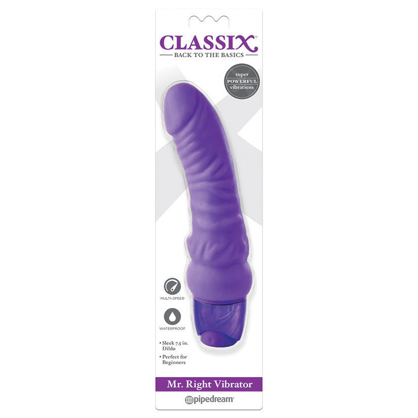 Classix Mr Right Vibrator-Purple