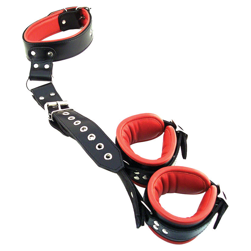 Rouge Group Leather Neck to Wrist Restraint with Padded Cuffs-Black/Red